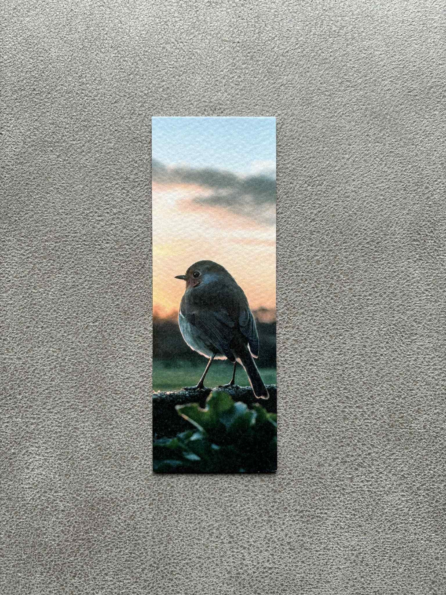 Sunrise with Bob Bookmark