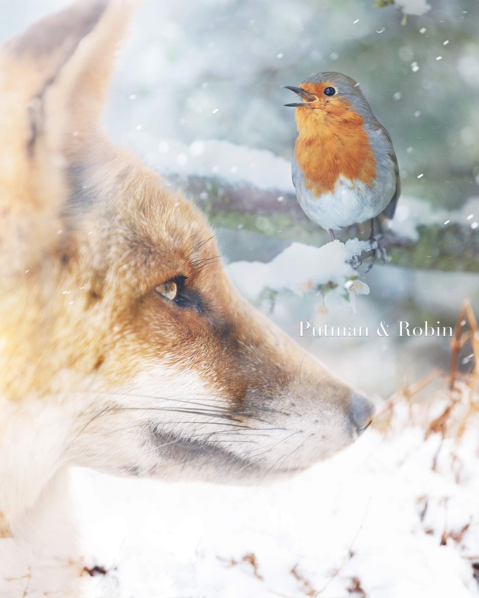 Singing Free - Art Print