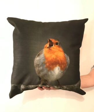 Dawn Chorus Robin Photo Cushion