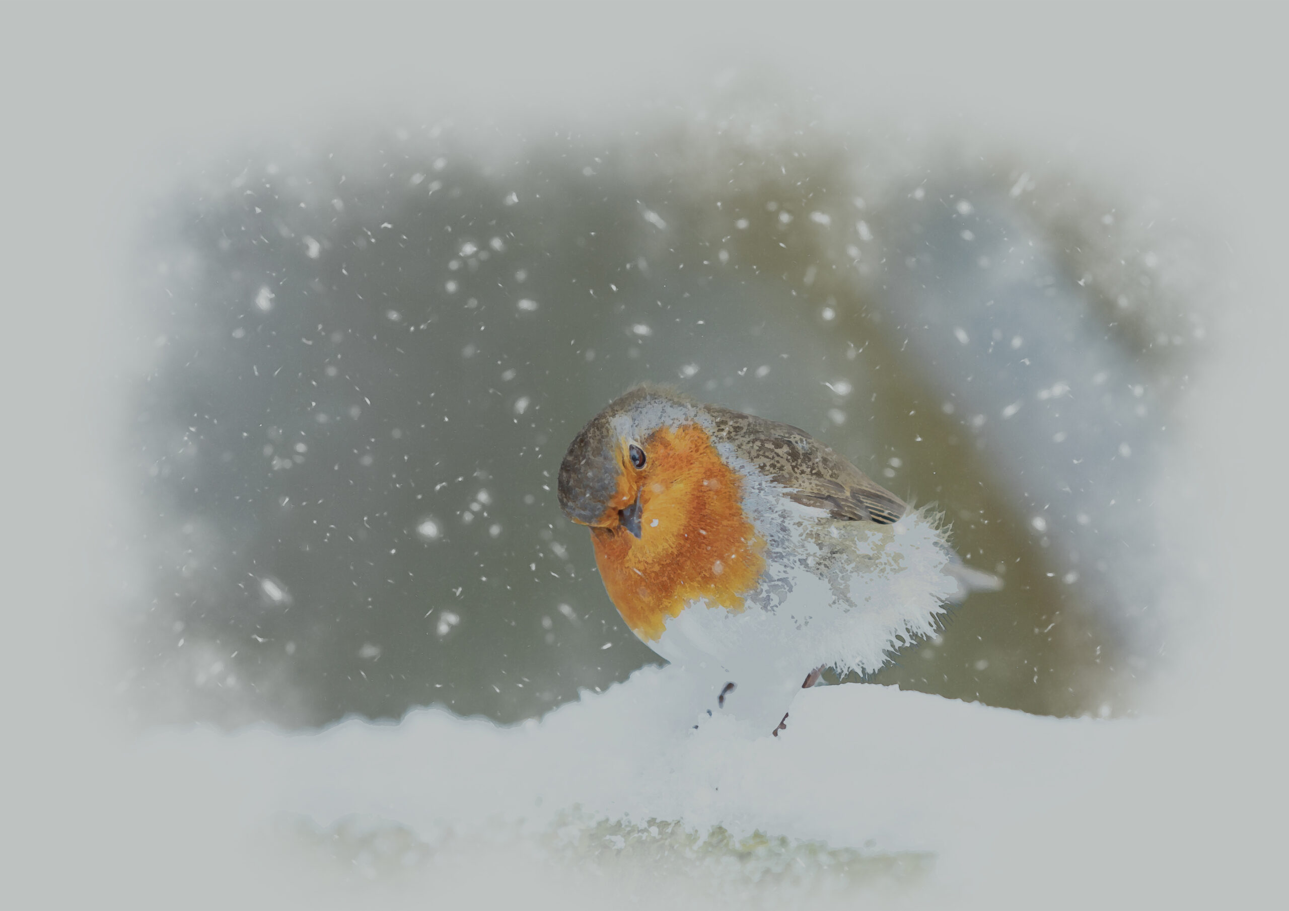 Robin in the Snow - Watercolour Photo Print
