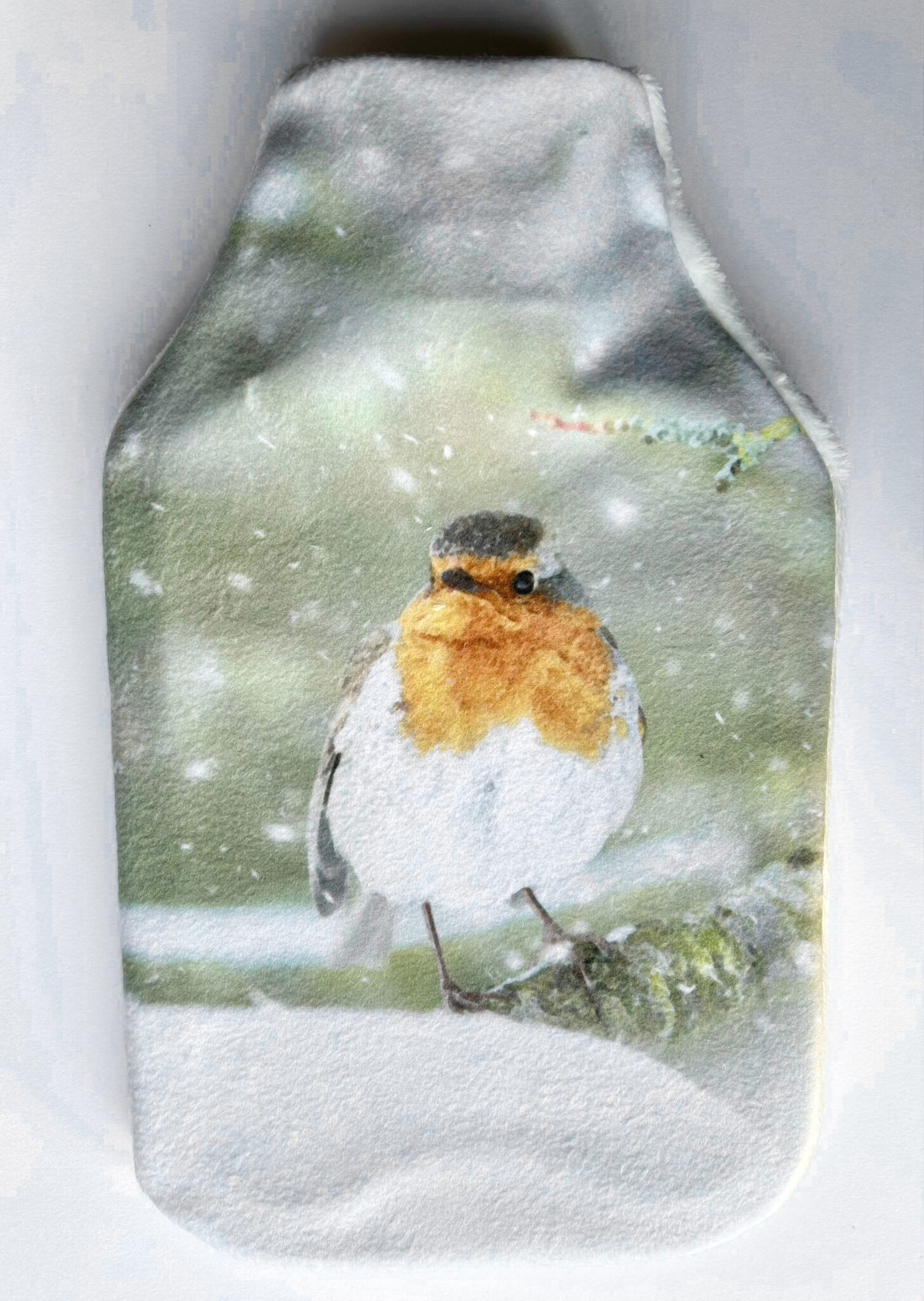Set di 4 sottobicchieri in vetro Robin invernali in confezione