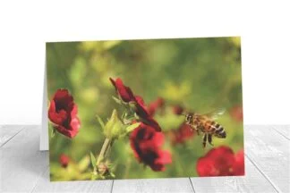 Flower Bee Card - Birthday Card - Bee Card - Folksy - View #4