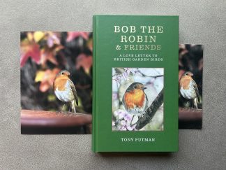 Bob Autumn Pose: Signed Bob the Robin & Friends Book Gift Bundle