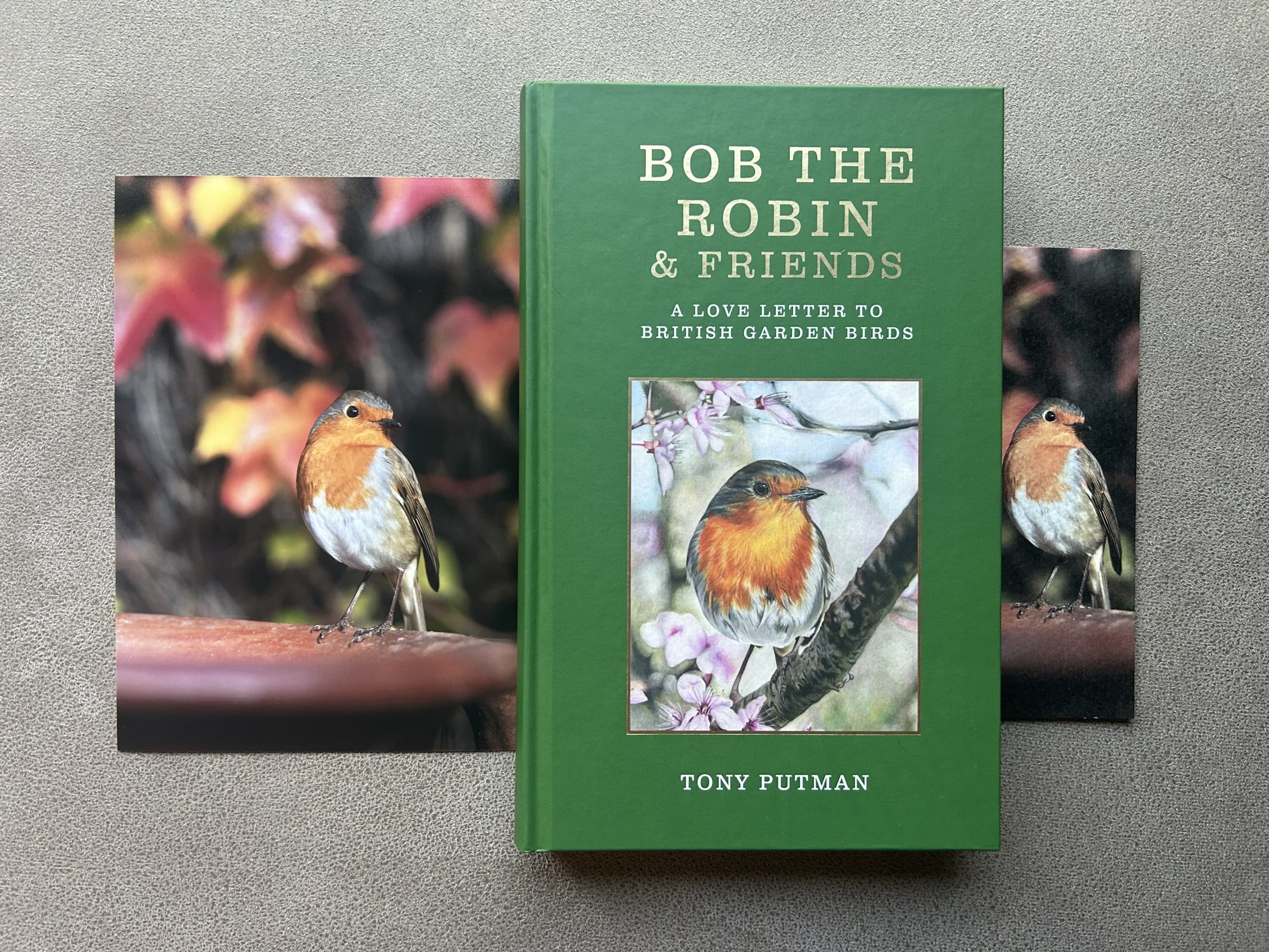 Bob Autumn Pose: Signed Bob the Robin & Friends Book Gift Bundle