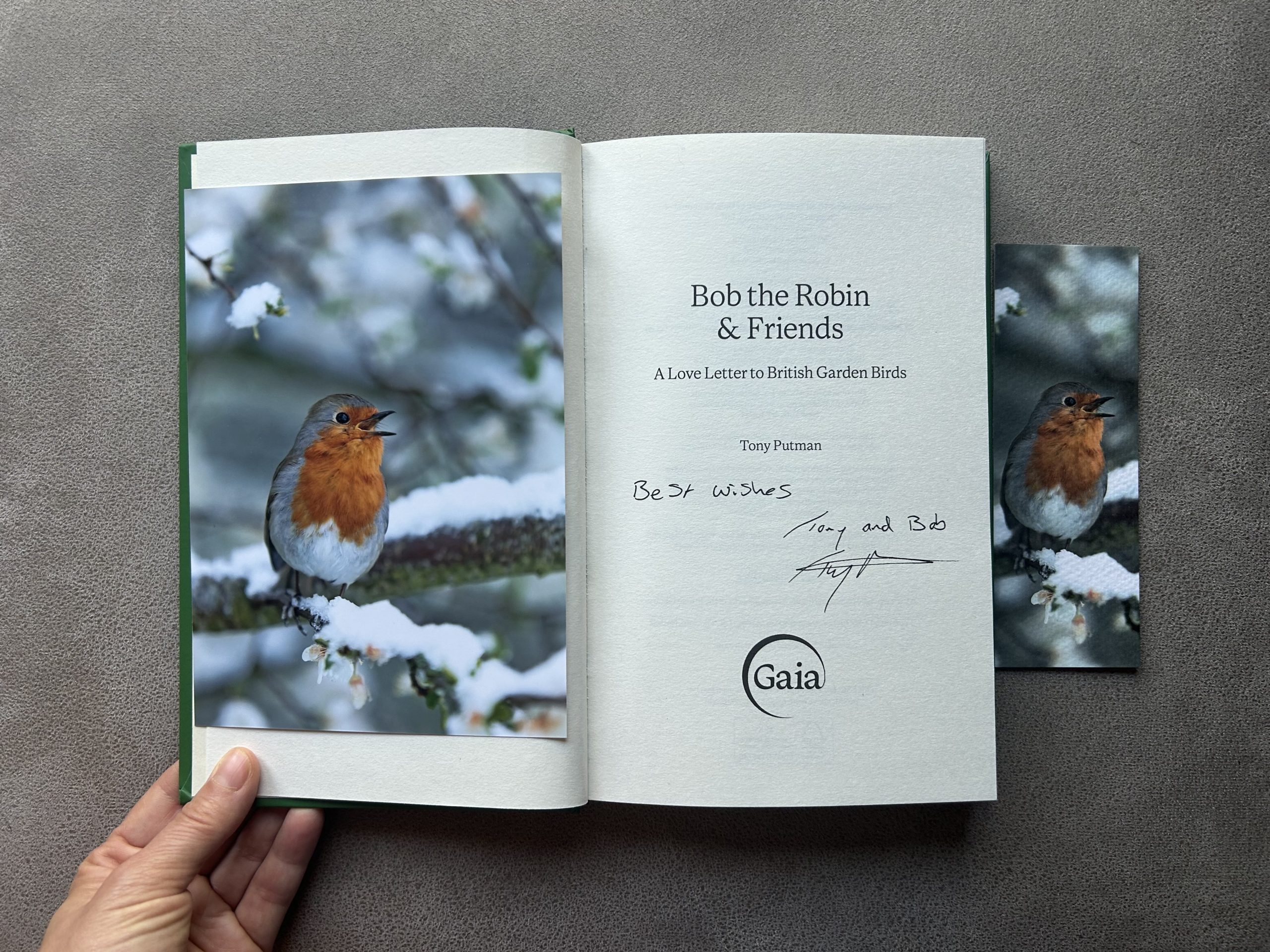 Bob Singing in the Snow: Signed Bob the Robin & Friends Book Gift Bundle - Image 2