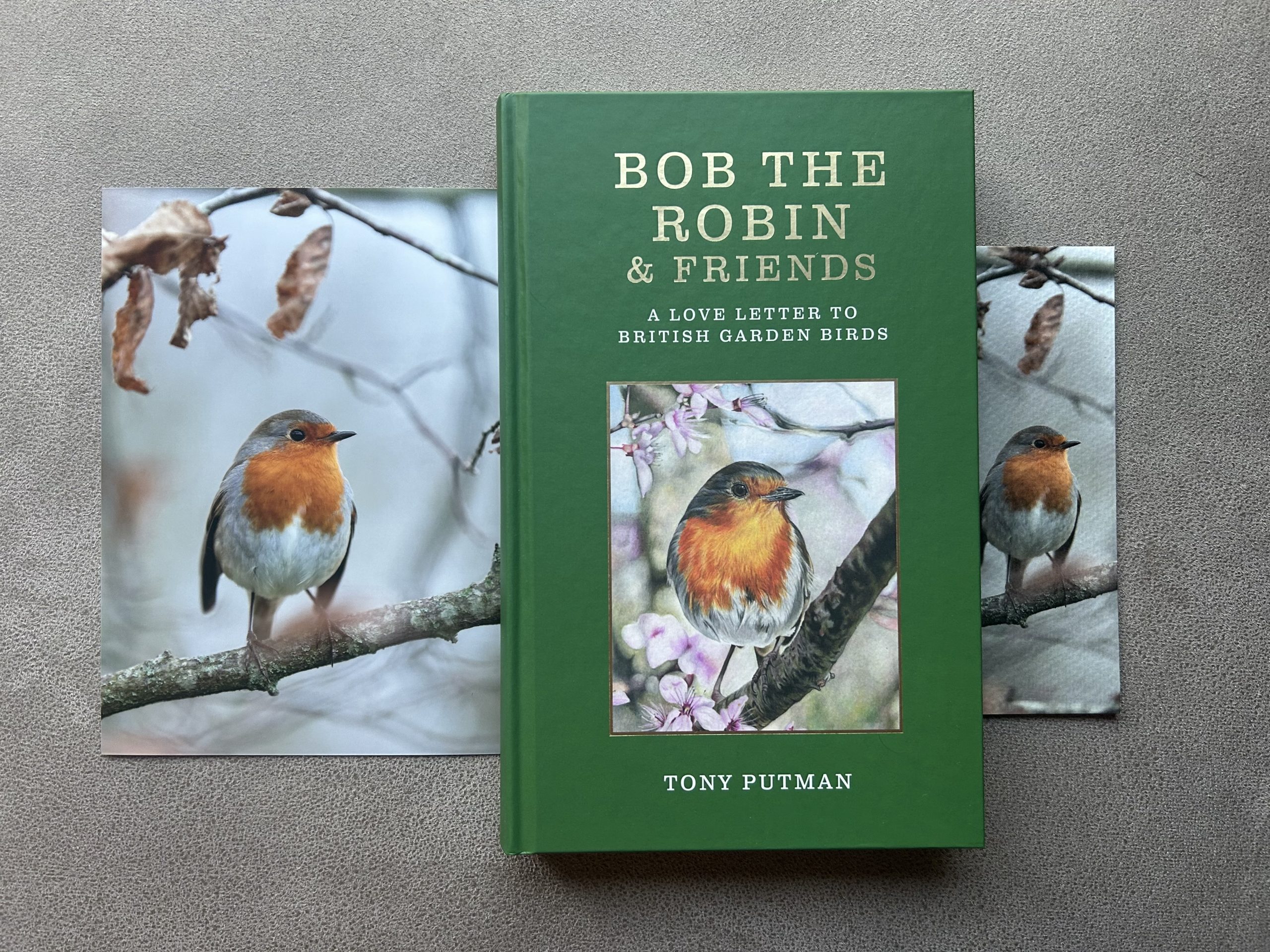 Bob in Autumnal Leaves: Signed Bob the Robin & Friends Book Gift Bundle