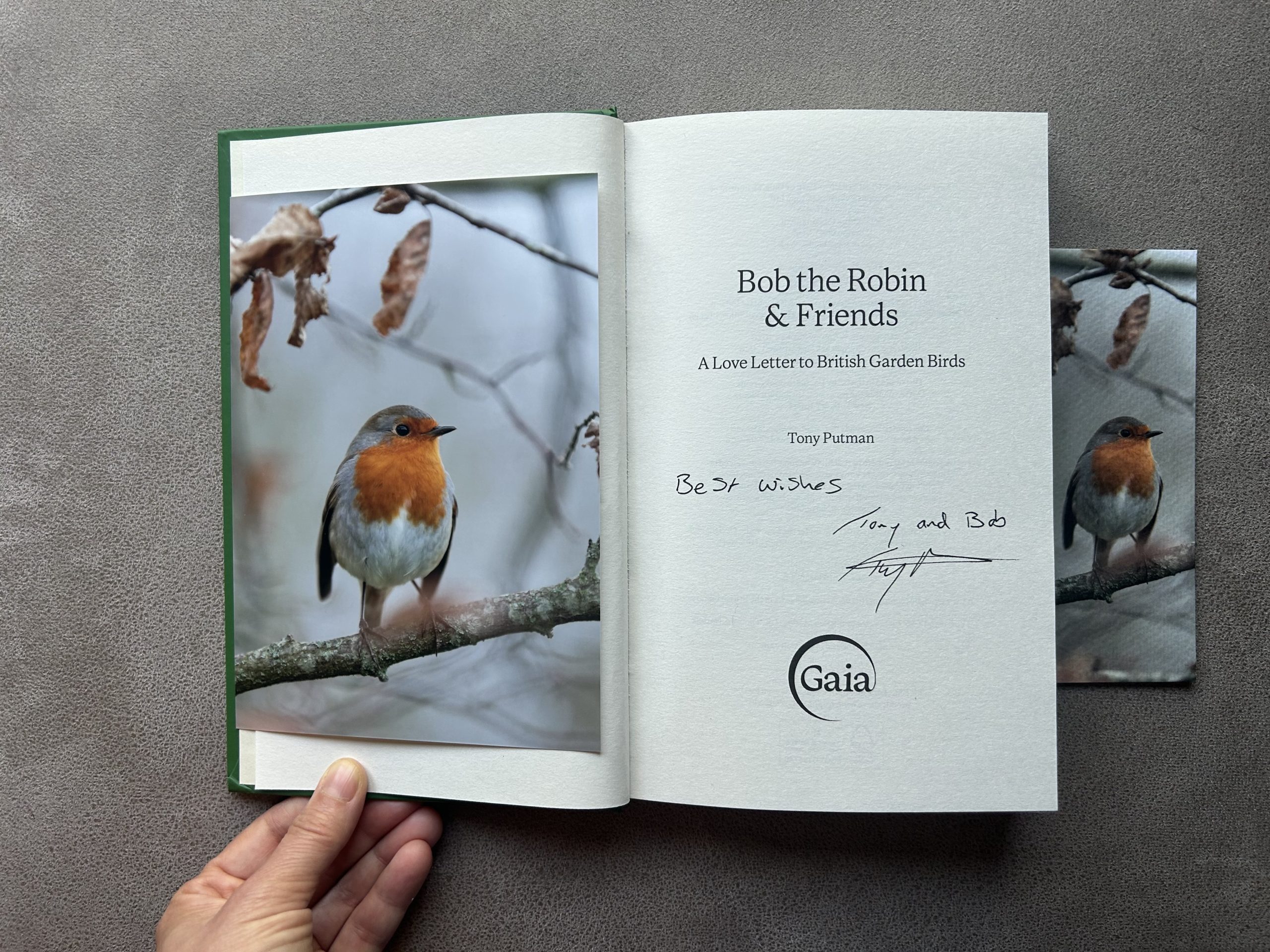 Bob in Autumnal Leaves: Signed Bob the Robin & Friends Book Gift Bundle - Image 2