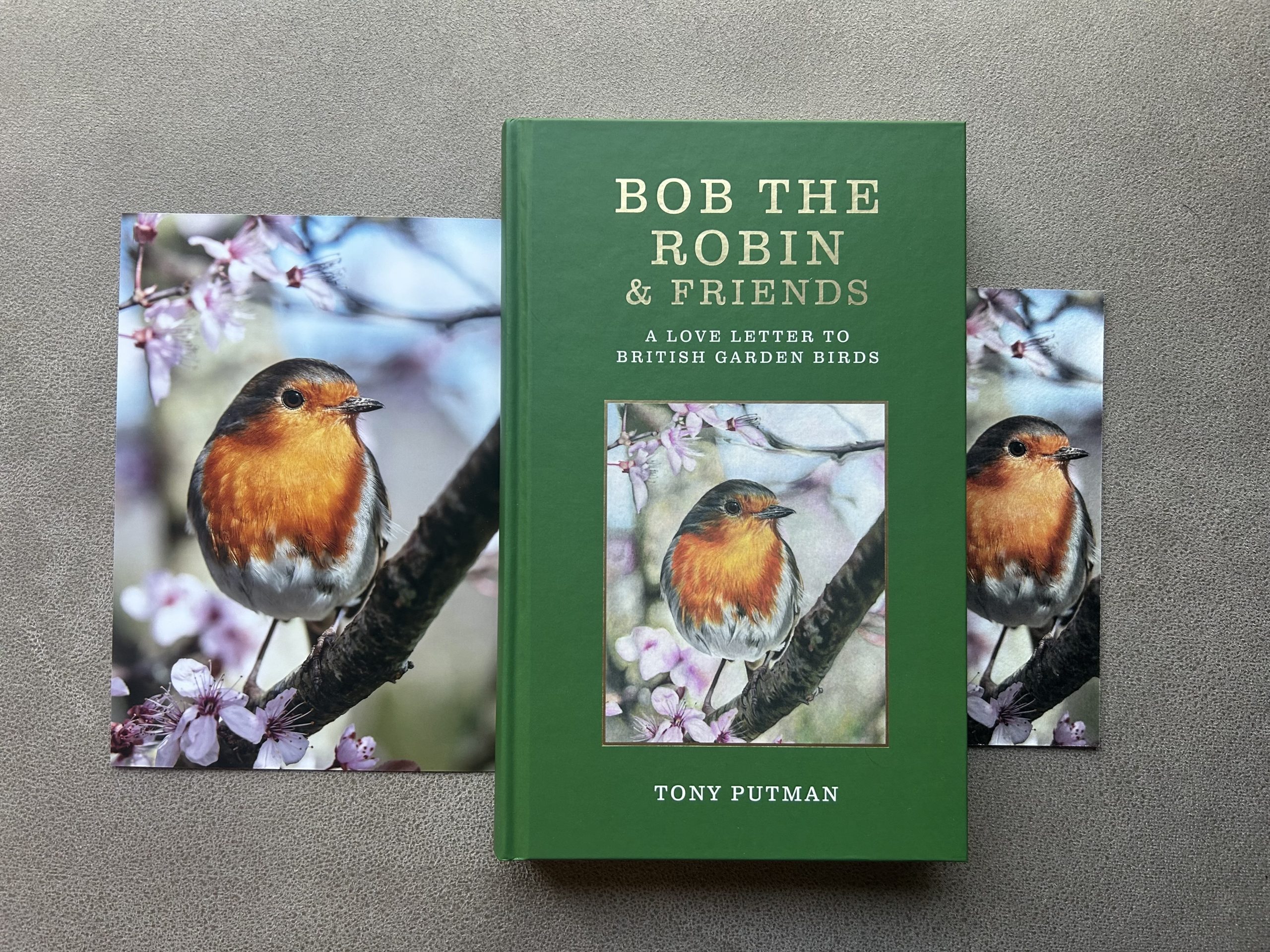 Bob in the Cherry Blossom: Signed Bob the Robin & Friends Book Gift Bundle