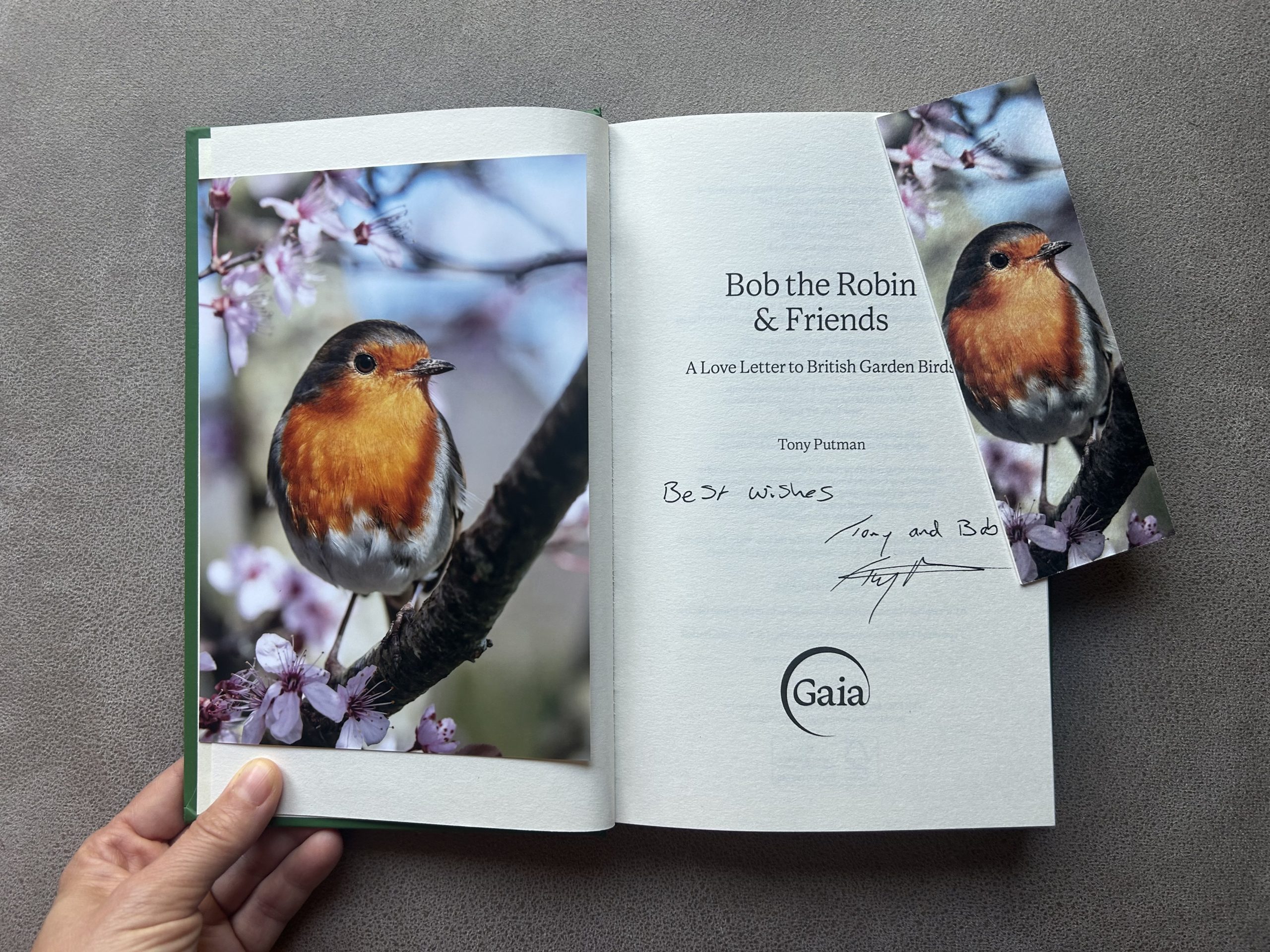 Bob in the Cherry Blossom: Signed Bob the Robin & Friends Book Gift Bundle - Image 2