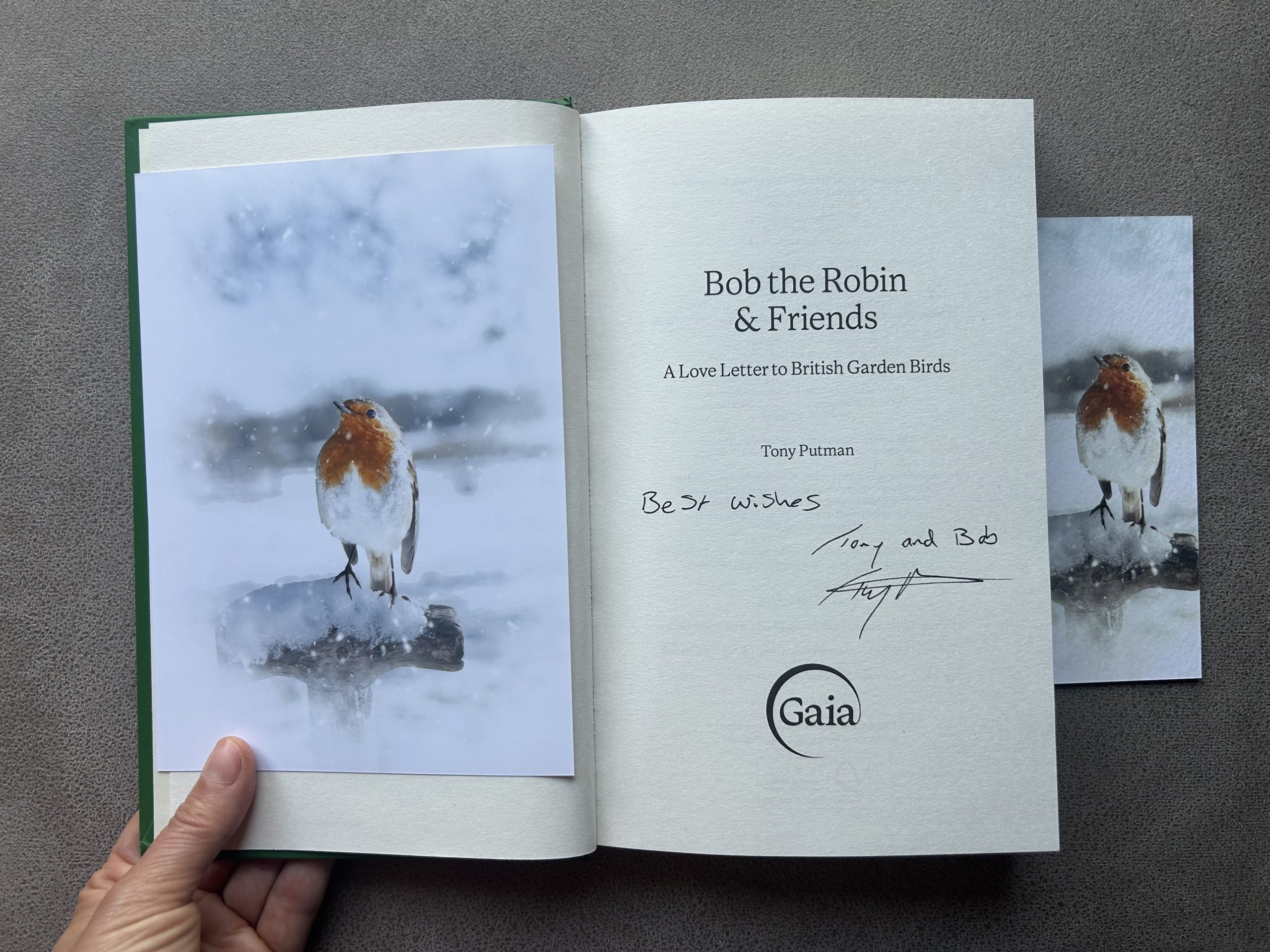 Bob on Snowy Garden Fork: Signed Bob the Robin & Friends Book Gift Bundle - Image 2