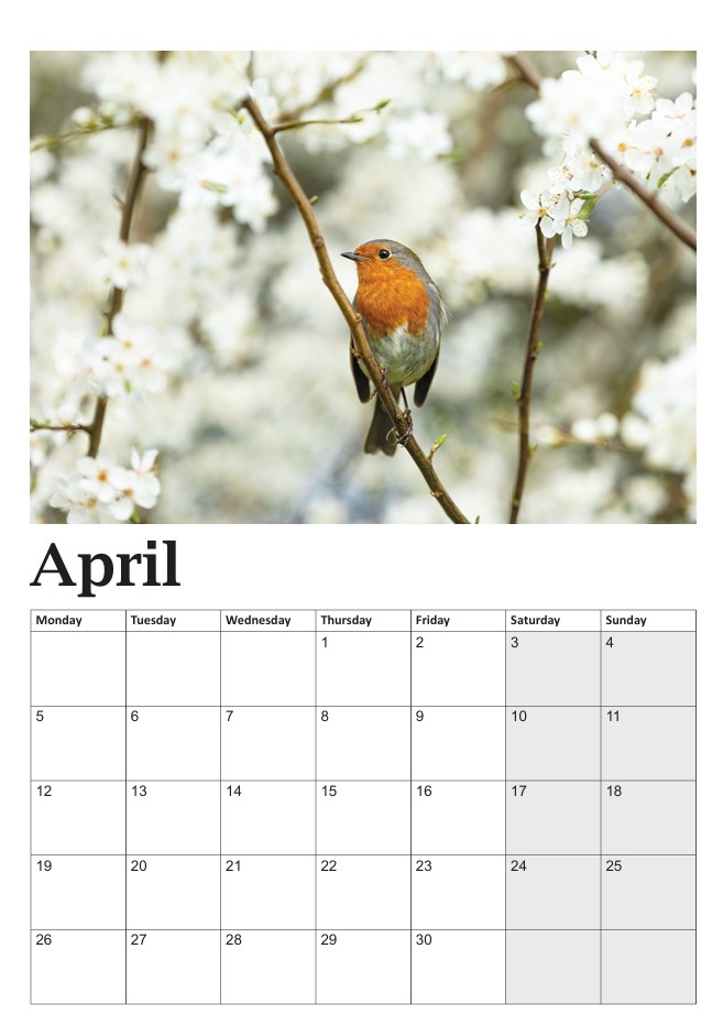 Bob the Robin Calendar - Image 5