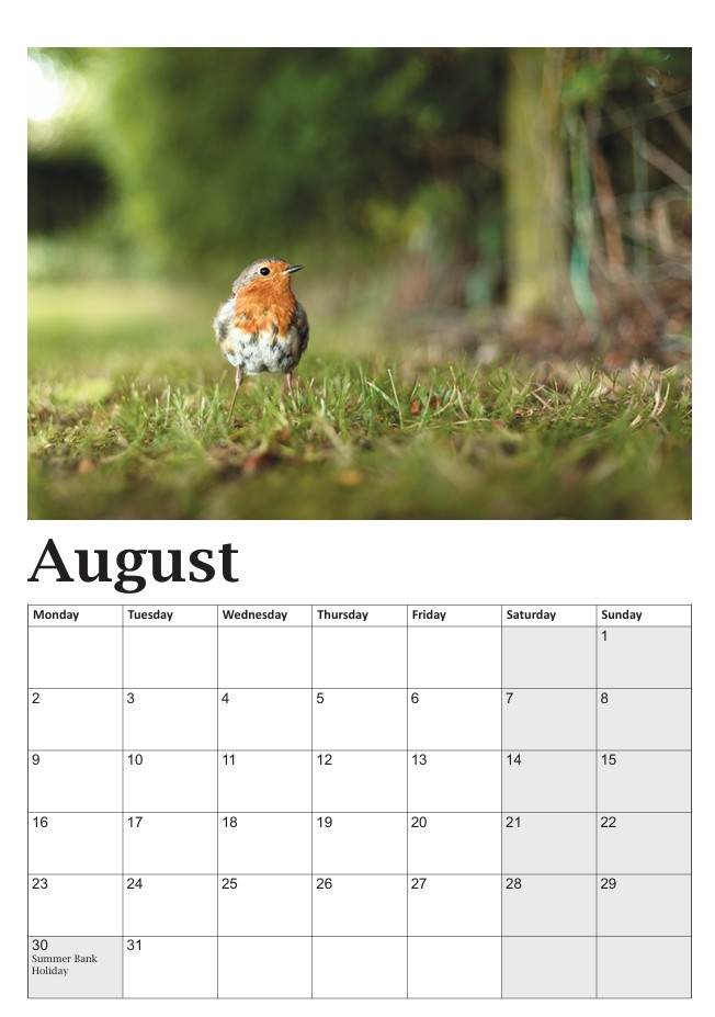 Bob the Robin Calendar - Image 9