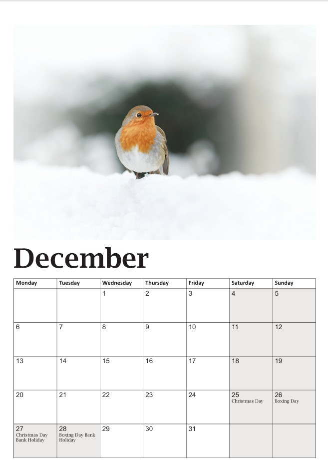 Bob the Robin Calendar - Image 13