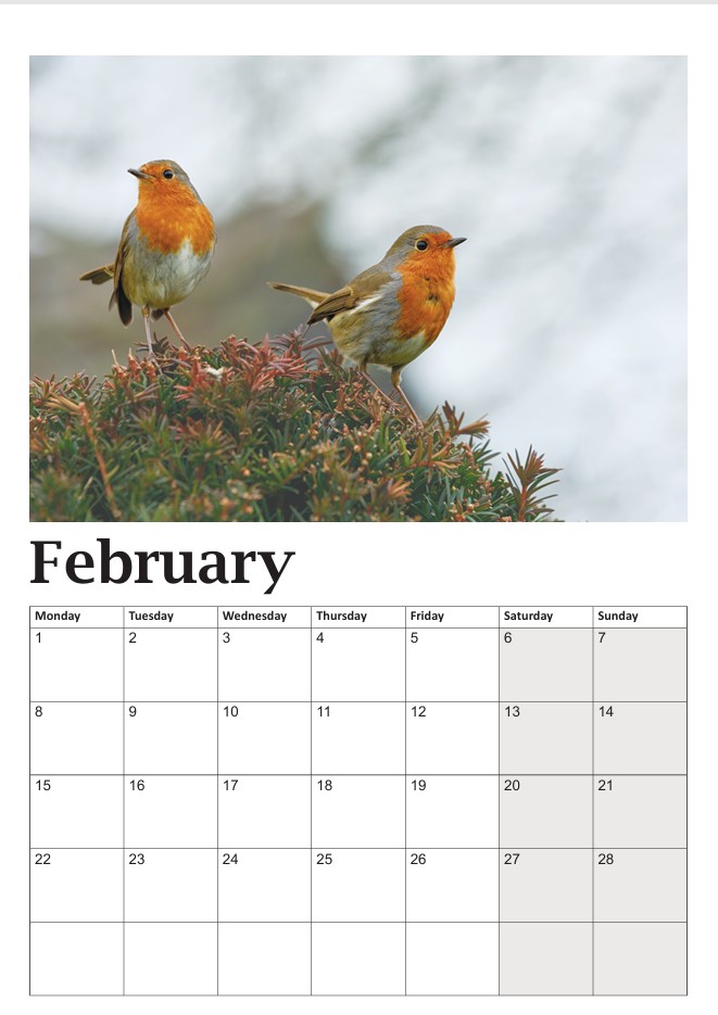 Bob the Robin Calendar - Image 3