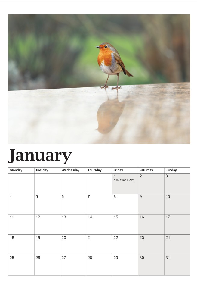 Bob the Robin Calendar - Image 2