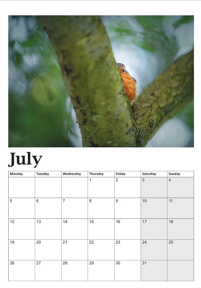 Bob the Robin Calendar - Image 8