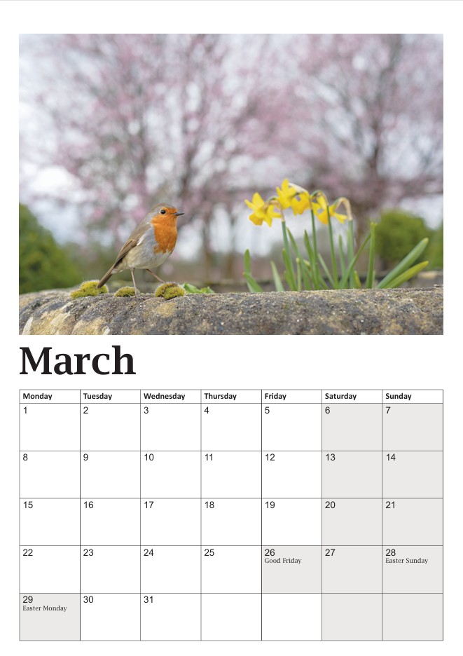 Bob the Robin Calendar - Image 4