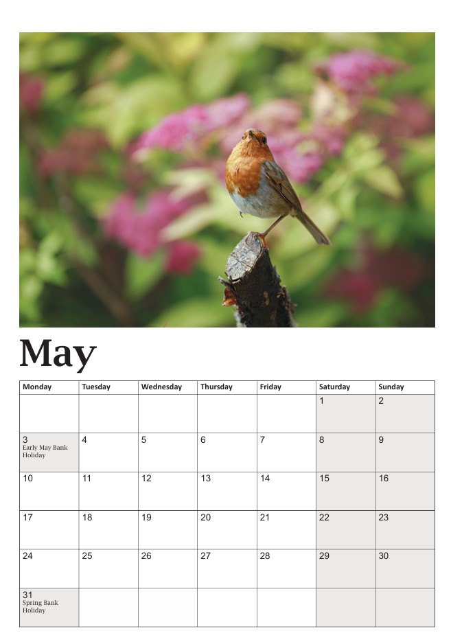 Bob the Robin Calendar - Image 6