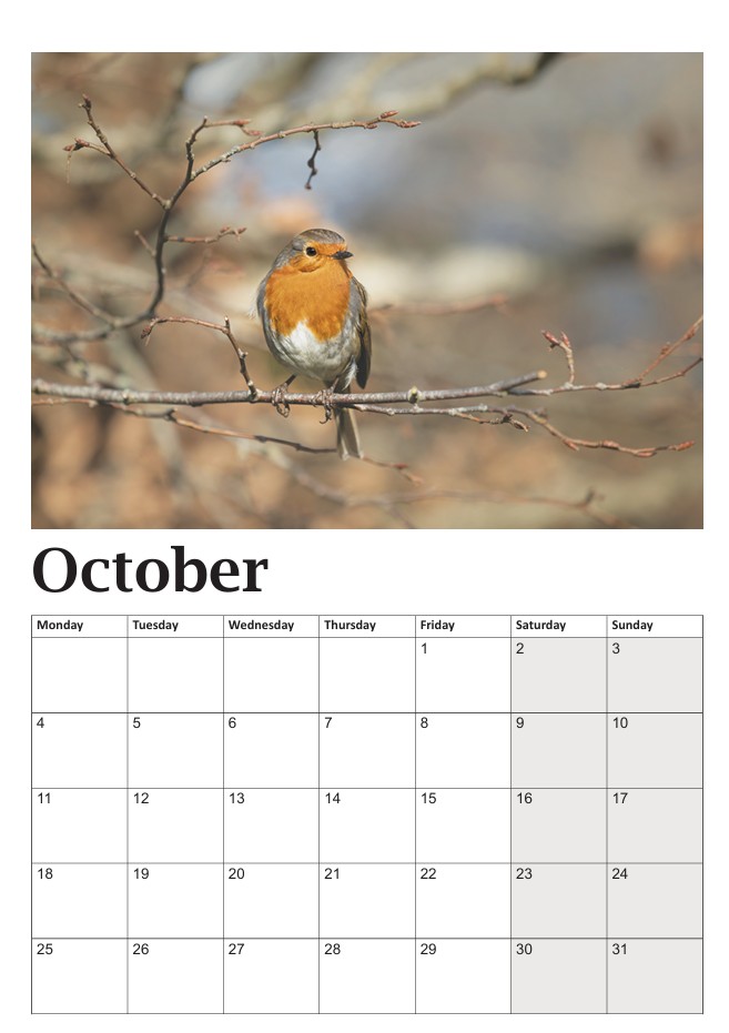 Bob the Robin Calendar - Image 11