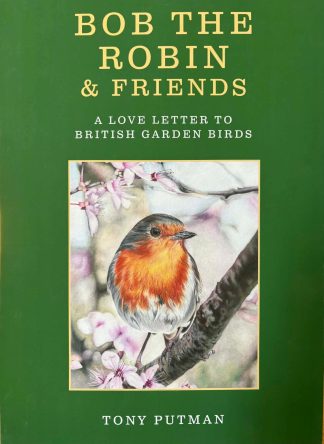 Bob the Robin & Friends