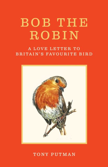 Bob the Robin: A Love Letter to Britain’s Favourite Bird - Signed New Smaller Edition Hardcover