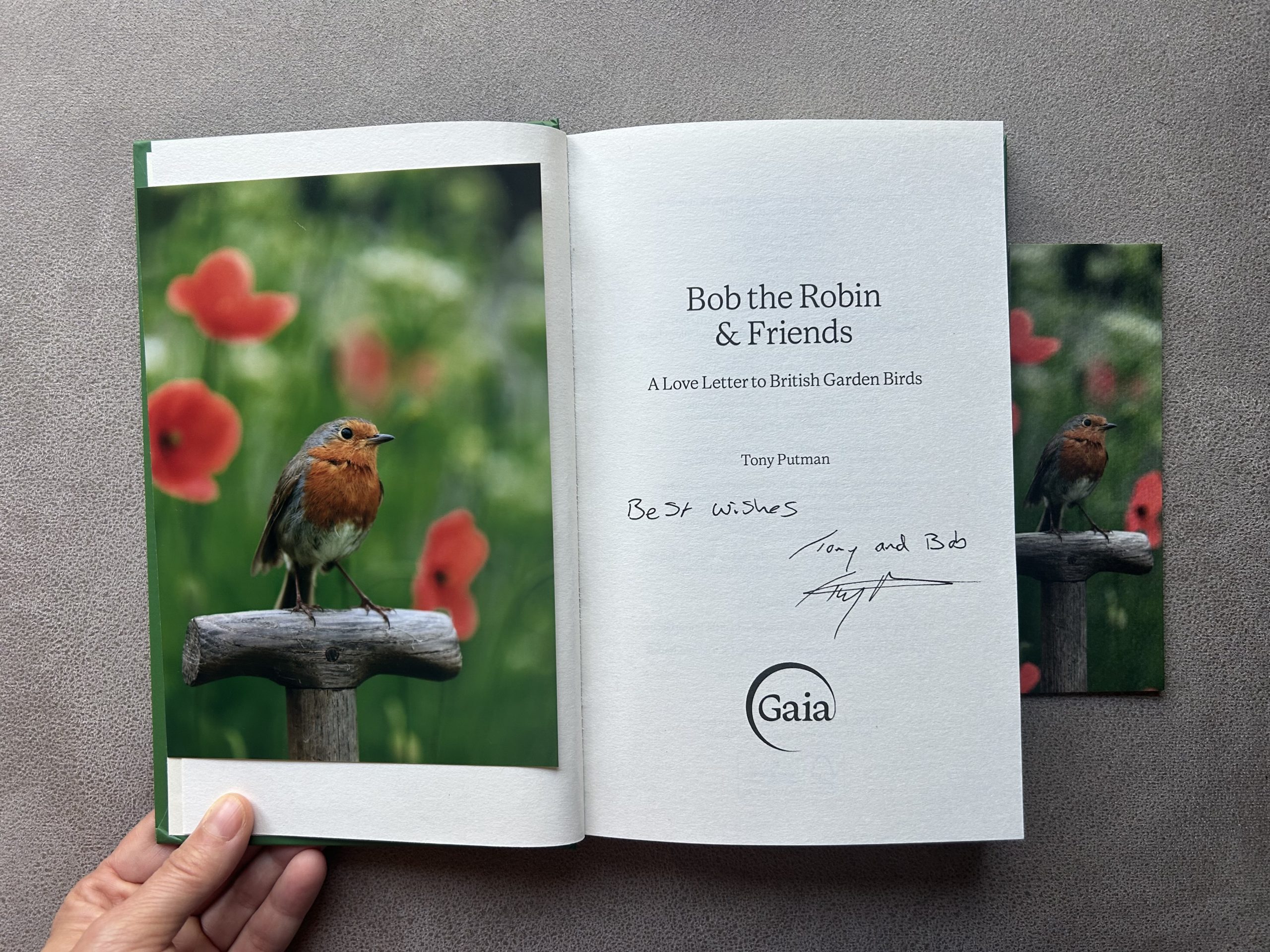 Bobbin Amongst the Poppies: Signed Bob the Robin & Friends Book Gift Bundle - Image 2