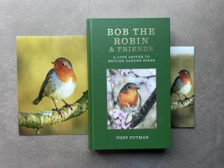 Elegant Bobette: Signed Bob the Robin & Friends Book Gift Bundle