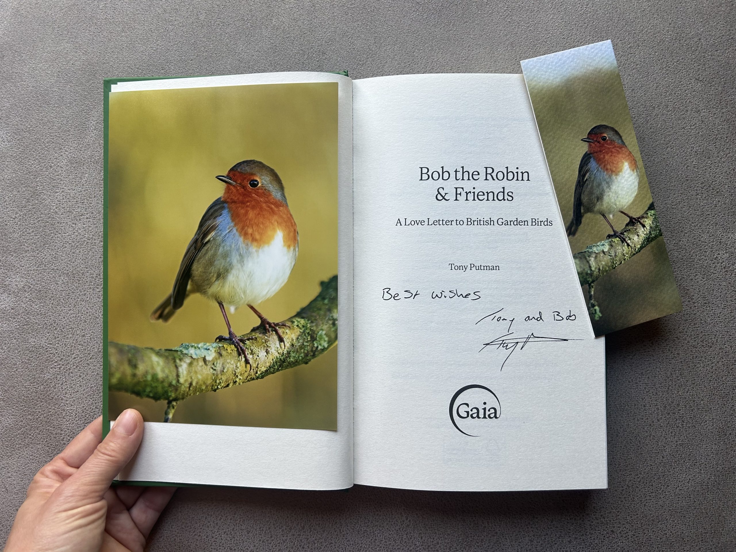 Elegant Bobette: Signed Bob the Robin & Friends Book Gift Bundle - Image 2