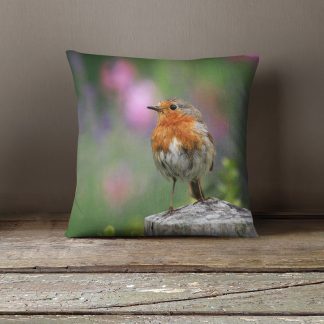 Pip the robin cushion