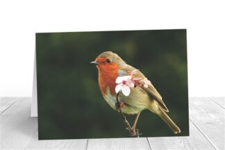 A Blossom Flower Robin Greeting Card