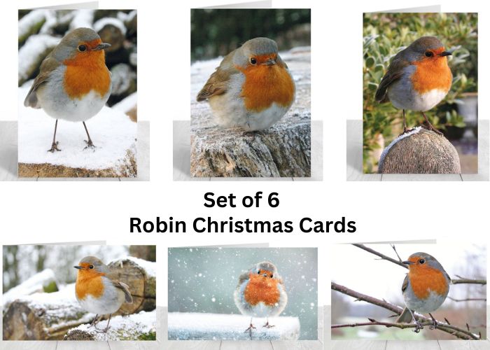 Robin Christmas Cards