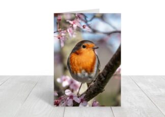 6 Greeting Cards for £8.40