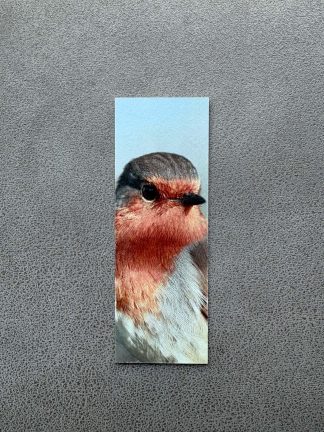 Lucky's Portrait Robin Bookmark