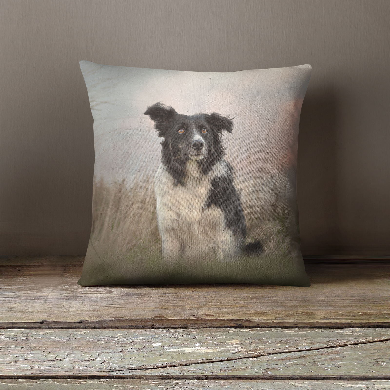 Saa Amongst the Grass Collie Photo Cushion